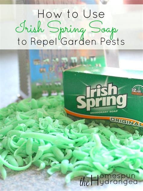 Try this easy and natural way to repel garden pests! Irish Spring soap ...