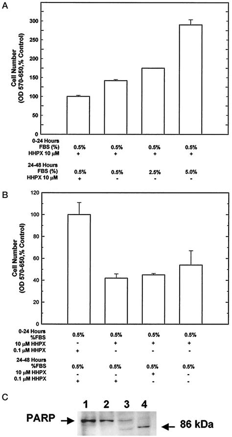 Effects of high concentrations of heme-hemopexin (HHPX) on cell ...