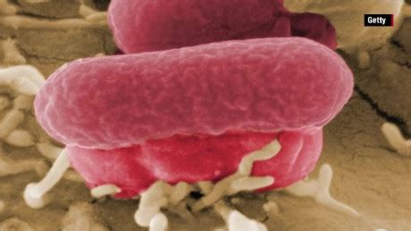 E. Coli Outbreaks Fast Facts - CNN