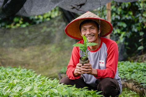 Regenerative Agriculture: A New Trajectory for Indonesian Coffee Farmers || Louis Dreyfus Company