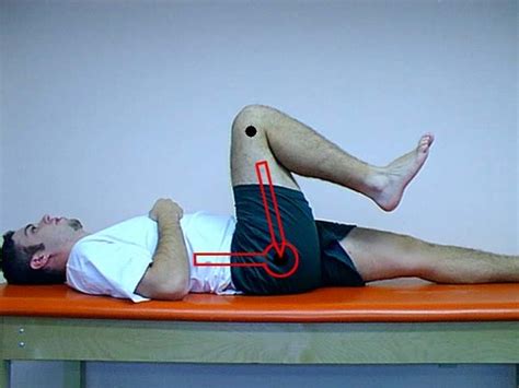 EMORY DPT: FUN LAB - Principles of Goniometry and Manual Muscle Testing ...