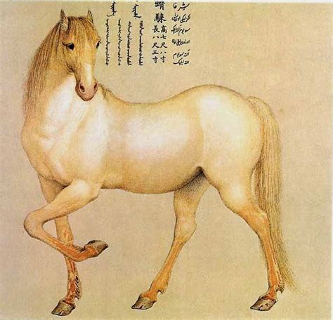 Nisean horse - Alchetron, The Free Social Encyclopedia