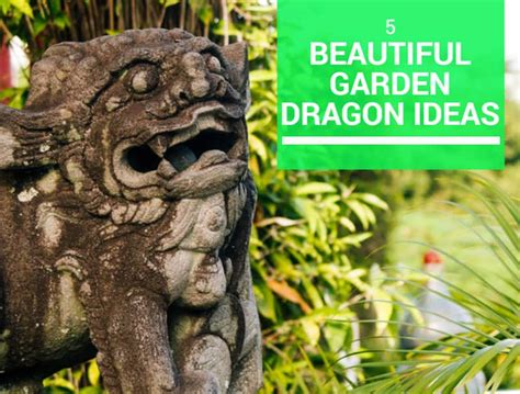 5 Beautiful Garden Dragon Ideas - Properly Rooted