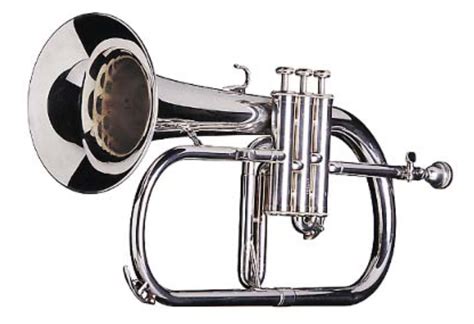 Types of Trumpets - Learn and See how they Differentiate