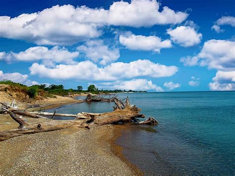 The Best Swimming Spots in Illinois: Lakes, Rivers, and More - A-Z Animals