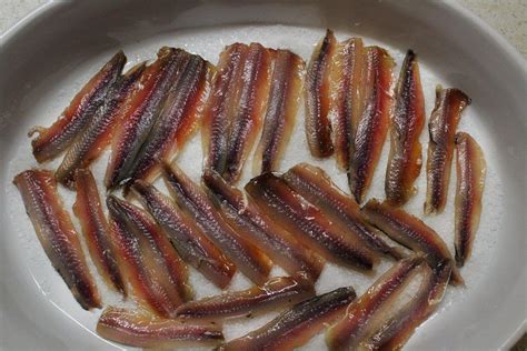 Another Word For Anchovy at Phil Aguilera blog