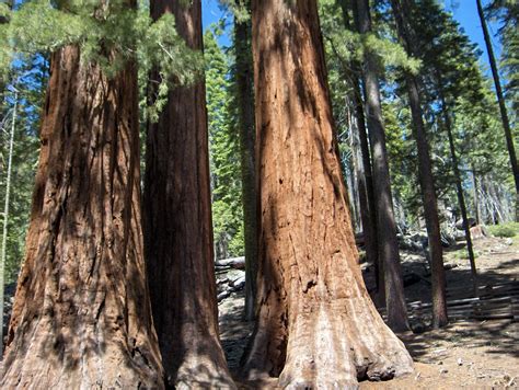 Yosemite Grand Tour | I wish you were here