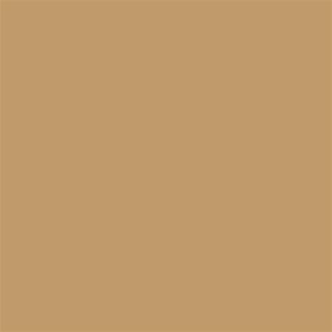 1024x1024 Camel Solid Color Background