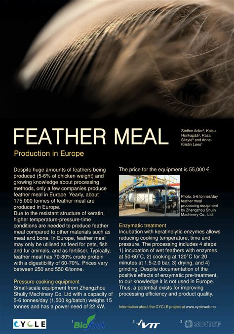 (PDF) Feather meal production in Europe