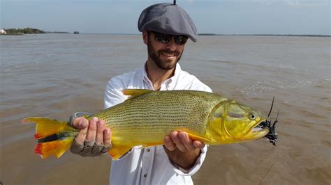 Fishing Report: Rìo Parana by Benjamin Marolda | Fly dreamers