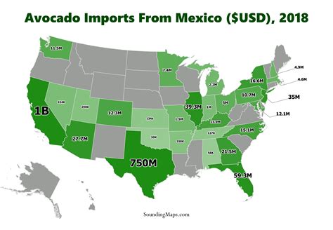 US Avocado Imports From Mexico - Sounding Maps