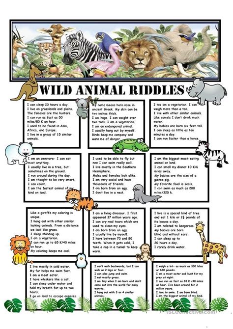 Pin on Animal riddles