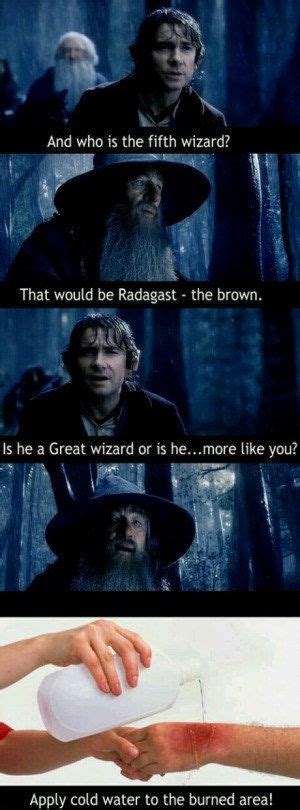 21 Pictures Only "The Hobbit" Fans Will Think Are Funny | Sick burns ...