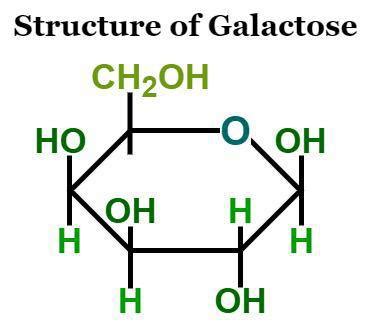 Galactose Formula - Structure, Properties, Uses, and FAQs