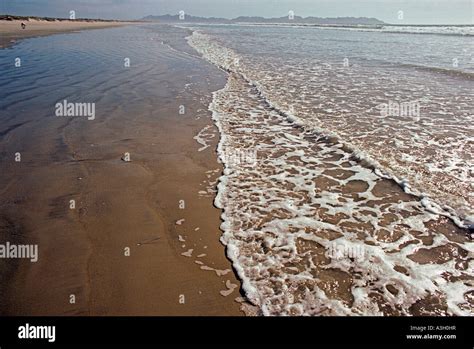 Magdalena Bay Baja California Mexico Stock Photo - Alamy