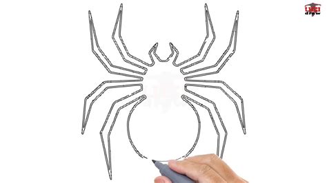 How to Draw a Spider Easy Step By Step Drawing Tutorials for Kids – UCIDraw