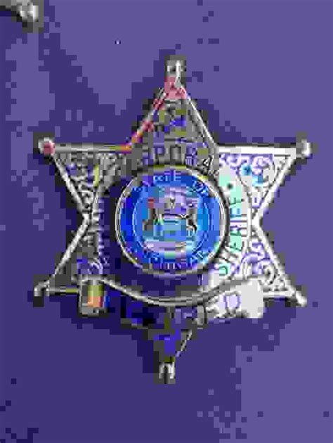 Wayne County Sheriff Badge -retired Auction