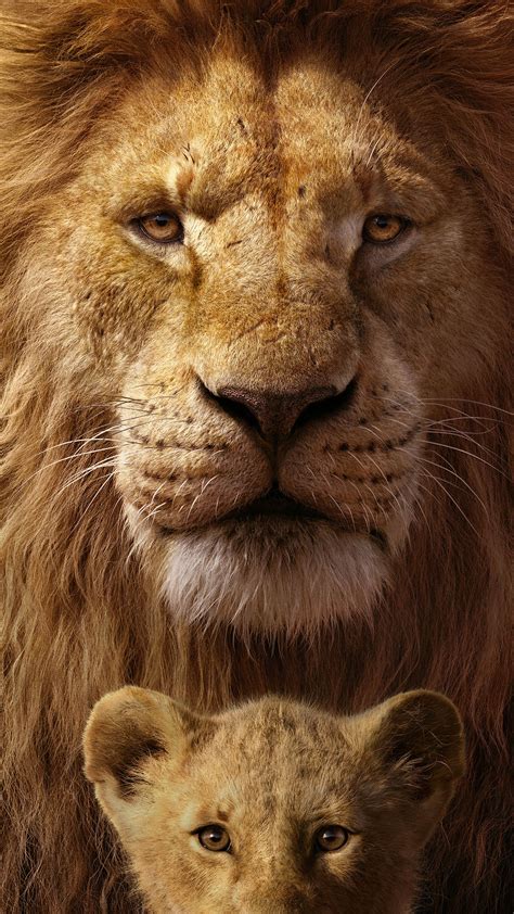 Lion Mobile Wallpapers - Wallpaper Cave