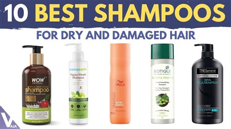 Top 10 Best Shampoos For Dry And Damaged Hair | Buyer's guide - YouTube