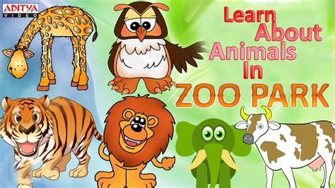 Let's Learn About Animals In Zoo Park - Pre And Play School Kids ...