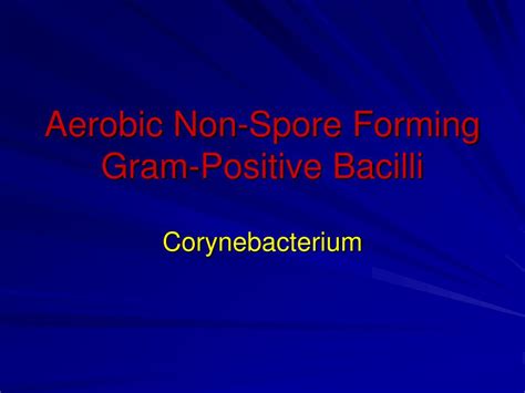 PPT - Aerobic Non-Spore Forming Gram-Positive Bacilli PowerPoint Presentation - ID:709766