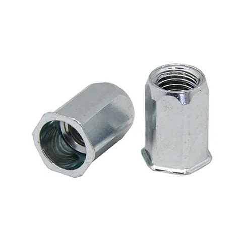 Hexagonal Steel Full Hex Open Type Small Head Rivet Nut, Size: M4-M10 at best price in New Delhi