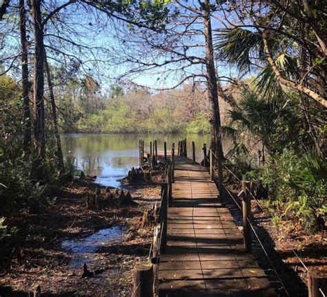 Fakahatchee Strand: Big, wild, great for hiking, kayaking