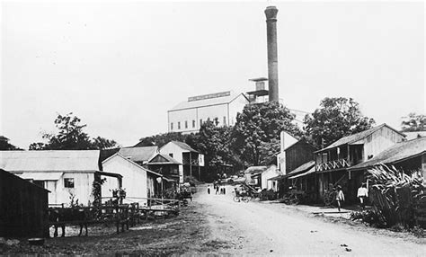 O‘ahu Sugar Company | Images of Old Hawaiʻi