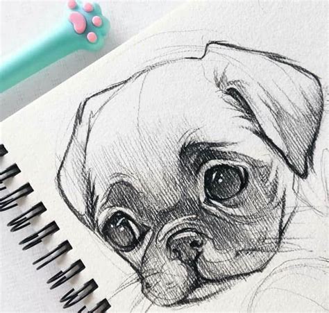 Easy Sketch Drawing Ideas Of Animals - Sketch drawing easy some type of.