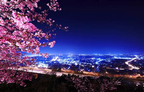 Wallpaper night, lights, building, Cherry Blossoms images for desktop, section город - download