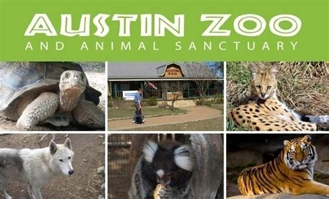 Austin Zoo - Austin, TX | Groupon