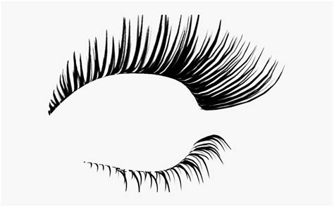 Long Clipart Eye Lashes - Photoshop Lashes , Free Transparent Clipart ...