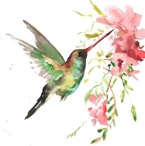 Hummingbirds Clipart Flowers Png Watercolor Painting Birds | The Best ...