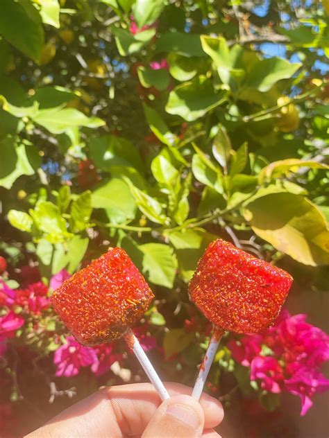 Spicy Watermelon Lollipop Chamoy Tajin Covered Mexican Chile - Etsy ...