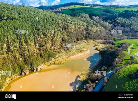 Eucalyptus forest aerial hi-res stock photography and images - Alamy