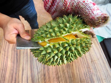 Malaysia 2019 Durian Season Guide - Year of the Durian