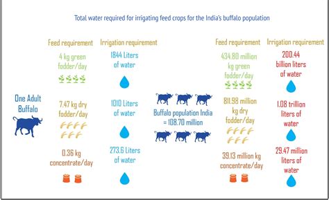 How is India's meat industry impacting the environment? - IndiaBioscience