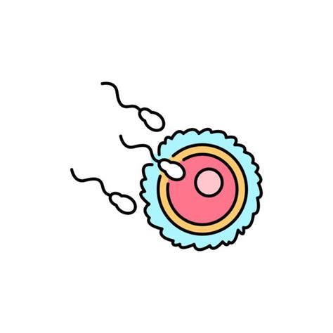 Sperm And Egg Clip Art Illustrations, Royalty-Free Vector Graphics & Clip Art - iStock