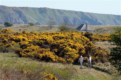 St Cyrus National Nature Reserve | VisitScotland