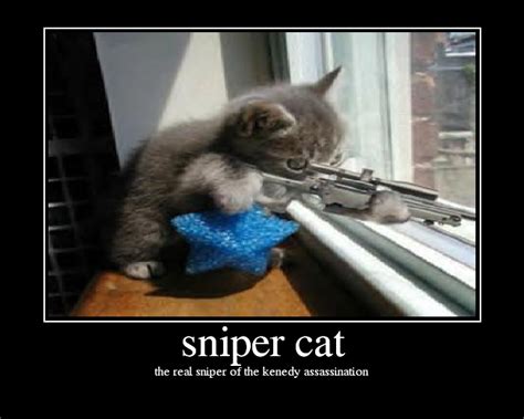 sniper cat - Picture | eBaum's World