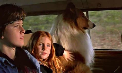 Lassie - Where to Watch and Stream Online – Entertainment.ie