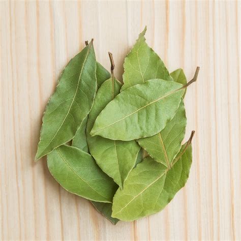 Indian Bay Leaf - ದಾಲ್ಚಿನ್ನಿ ಎಲೆ / ಮಸಾಲಾ ಎಲೆ - Freshon