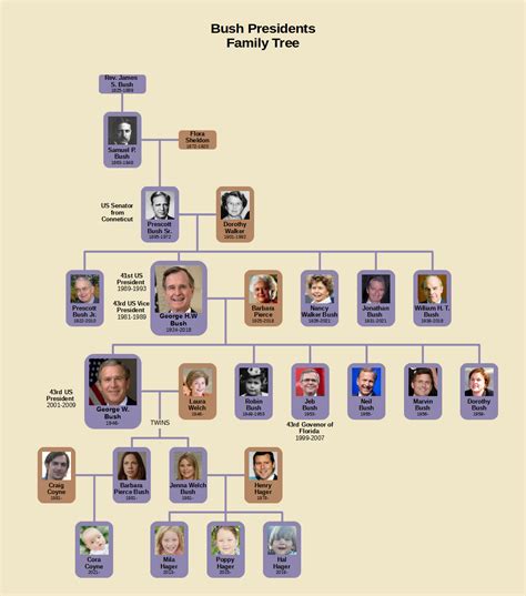 Bush Presidents Family Tree : r/UsefulCharts