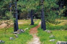 Narrow Dirt Hiking Path Free Stock Photo - Public Domain Pictures