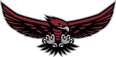 Hillgrove High School - Home | Sports logo design, Falcon logo, Sports logo