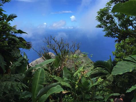 Hiking Saba’s Mount Scenery