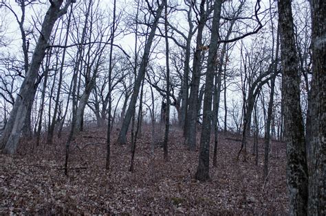 The Park Next Door - Stony Ridge Nature Trail