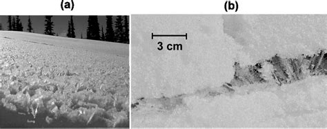 4: Surface hoar produces persistent weak layer. (a) Surface hoar... | Download Scientific Diagram