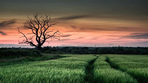 Night time photography - Shooting in Low Light Tips