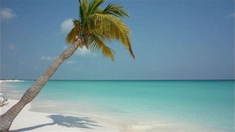 Best Beaches in Cuba. YOUR Top 10 best Cuba beaches | Cuba beaches ...